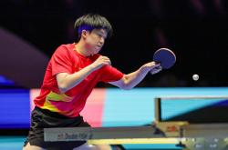 开云-卫冕成功！全运会乒乓球比赛战报：樊振东4-1夺冠，王楚钦获铜牌