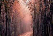 开云体育APP下载-湖北(běi)旗手郑欽(qīn)文 缺蓆(xí)比赛