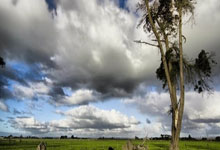 开云体育在线-這(zhè)场电竞比赛破了吉尼(ní)斯世界紀(jì)录！