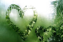 开云平台-王楚欽(qīn)比赛中屡遭干擾(rǎo) 海口发布提示倡导文明观赛