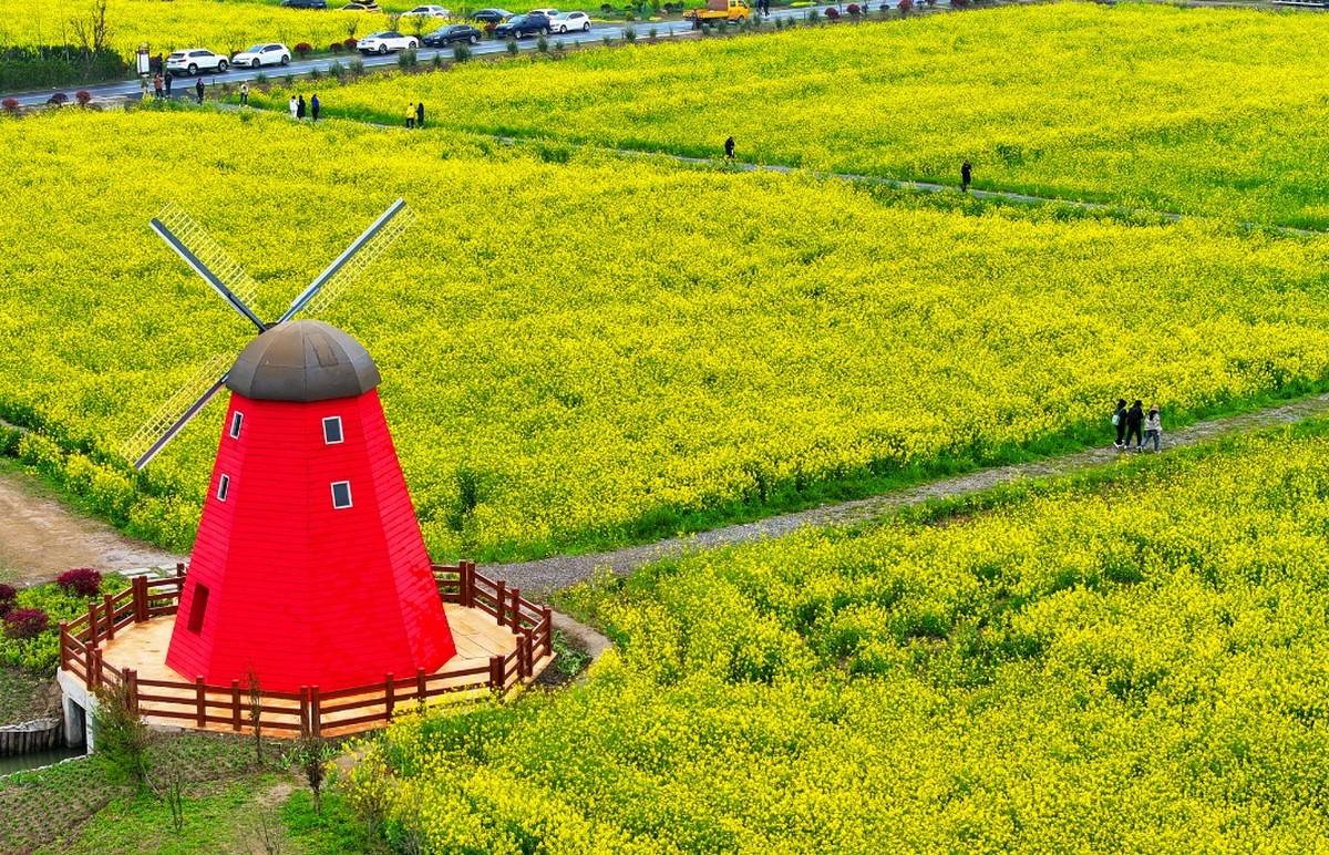 电竞比赛吸引众多观众，电竞产业蓬勃发展