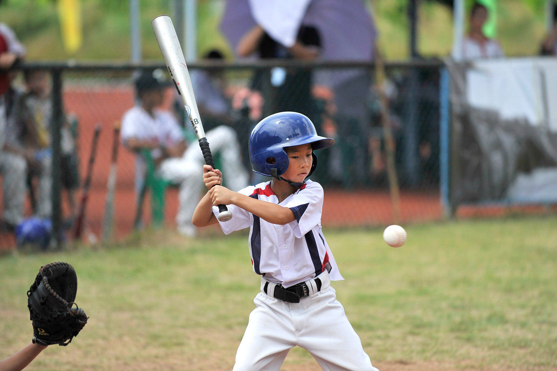 图集｜“棒球之城”中山，正全力挥出“本垒打”